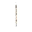 Picture of PAPERBLANKS HB PENCIL SPRING